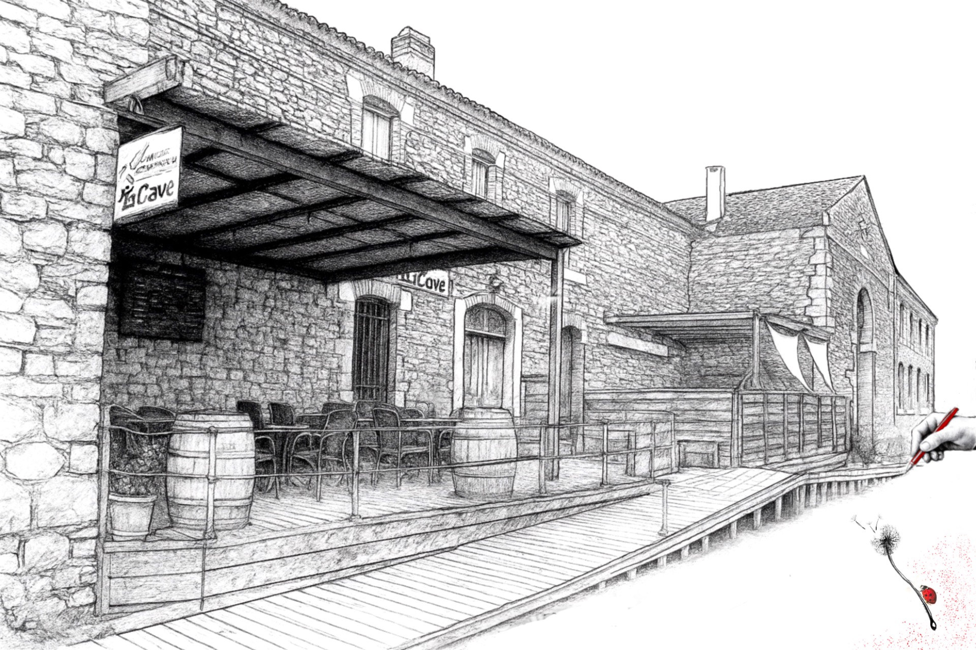 « Coccinelle de vignes » avec la cave de Siran